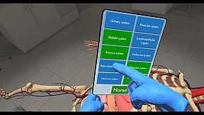 Human Constructor VR