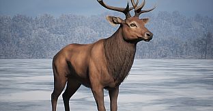 PROJECT HUNT - MANCHURIAN TAIGA