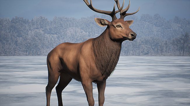 PROJECT HUNT - MANCHURIAN TAIGA
