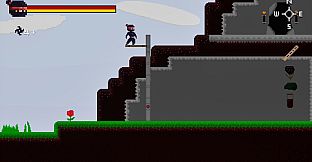 Ninja's Vengeance