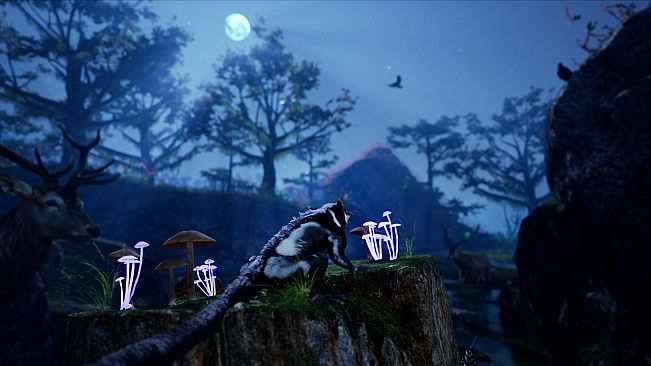 Away : The Survival Series