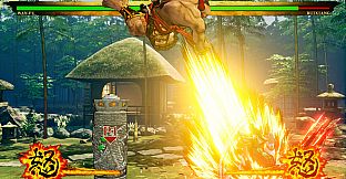 SAMURAI SHODOWN - DLC CHARACTER "WAN-FU"