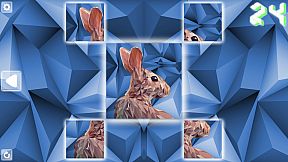 Poly Puzzle: Animals