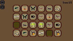 Animals Memory: Insect