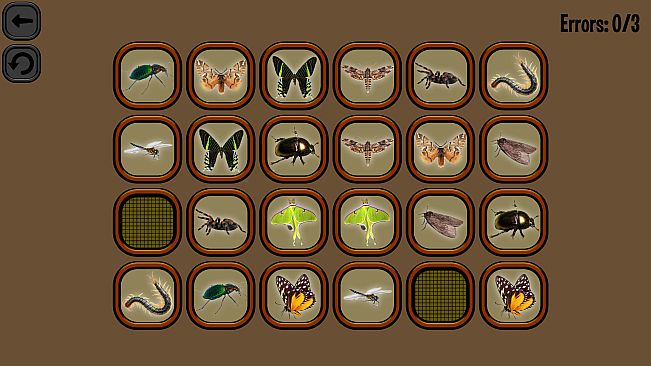 Animals Memory: Insect