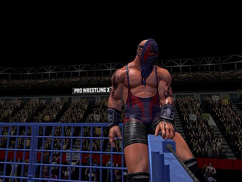 Pro Wrestling X