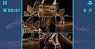 Puzzle Dinosaur Skeletons