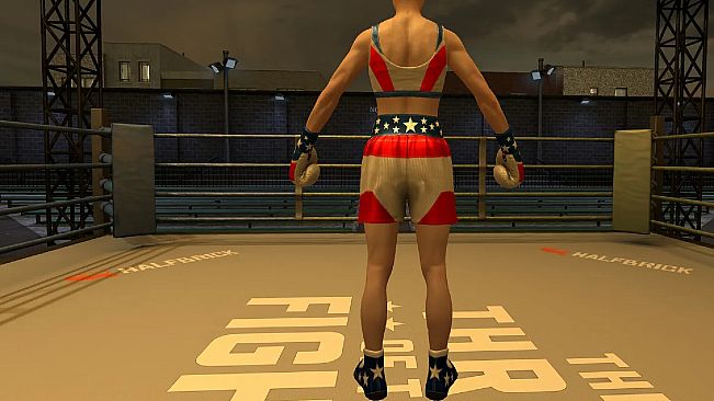The Thrill Of The Fight 2 - 4th of July Top