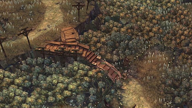 Tree of Savior - Reset Pack for NA Servers