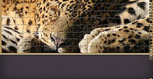 Jigsaw Puzzle Pack - Pixel Puzzles Ultimate: Animals 2