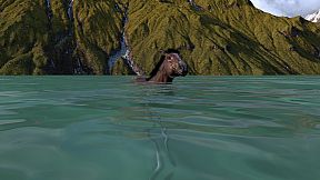 HORSE LIFE: find horses in open world, survive in wild nature as a foal or pony