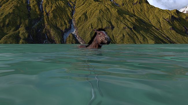 HORSE LIFE: find horses in open world, survive in wild nature as a foal or pony