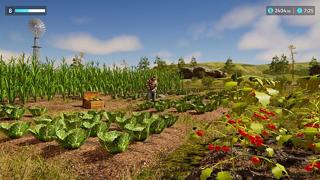 Farm & Store Simulator