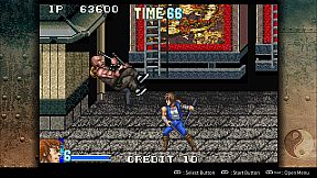Double Dragon Advance