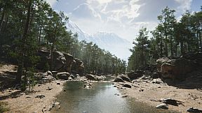 Mushroom Collector Simulator