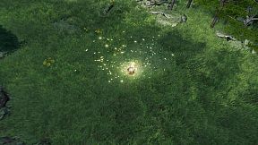 The Ball Flow - Nature and Light