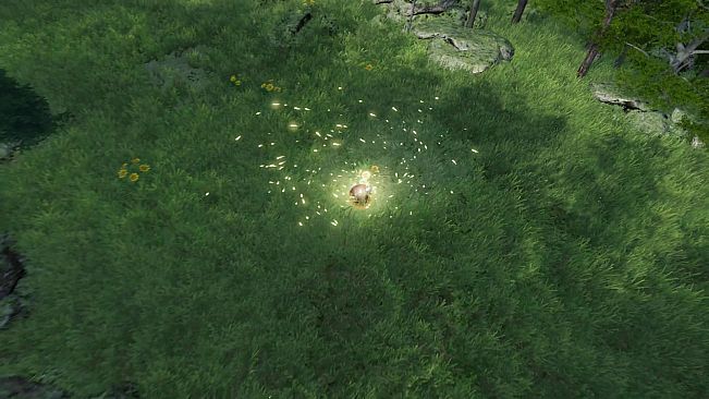 The Ball Flow - Nature and Light