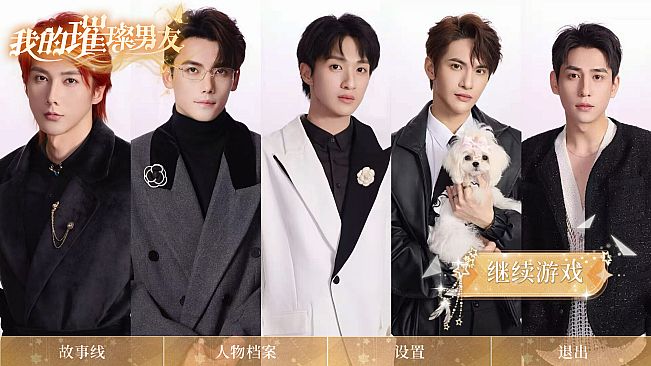 我的璀璨男友