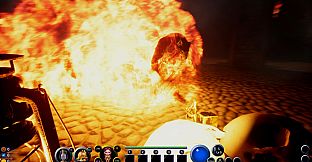 The Thief In The Dark