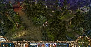 King's Bounty: Warriors of the North - Ice and Fire