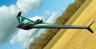 RealFlight Evolution – HardVector