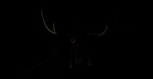 THE SCREAM OF DARKNESS