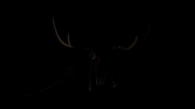 THE SCREAM OF DARKNESS