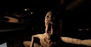 Don't Text and Drive