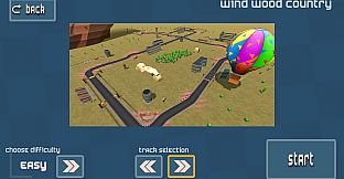 Race - Total Toon Race