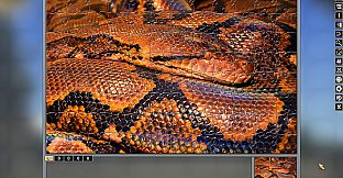 Pixel Puzzles Traditional Jigsaws Pack: Colorful Animals
