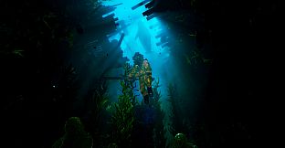 HALOCLINE