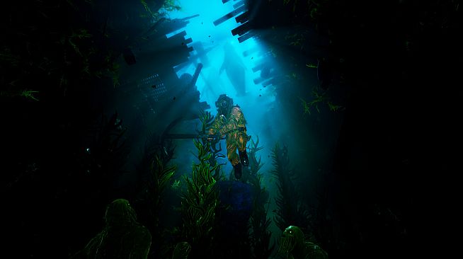 HALOCLINE
