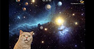 SwingCat: Swing Me to the Moon?