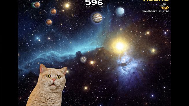 SwingCat: Swing Me to the Moon?