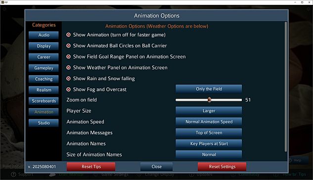 Pro Strategy Football 2025