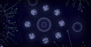 Microcosmum: survival of cells - Campaign  "New life"