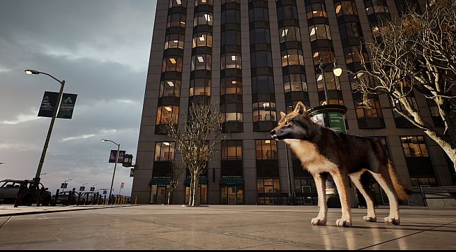 Pigeon Flight Simulator