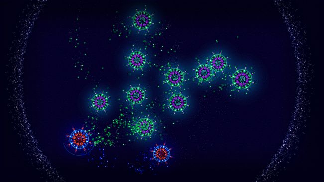 Microcosmum: survival of cells - Random levels