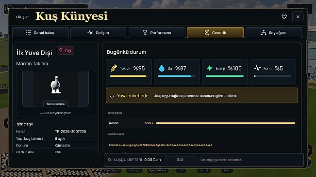 Pigeon Online World