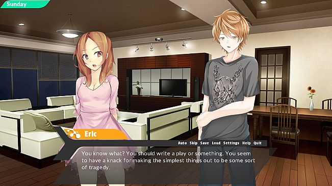 The Sibling Experiment