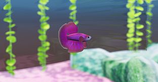 Fish Game - Betta Fish Pack 1
