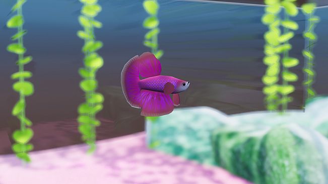 Fish Game - Betta Fish Pack 1