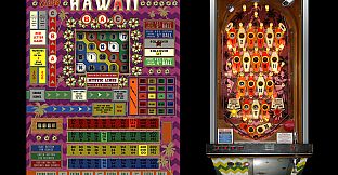 Bingo Pinball Gameroom - Bally Hawaii