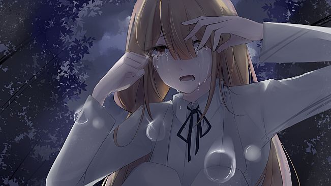 Kamisama's Diary:Tokoyo