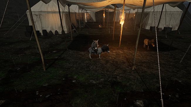 Immortal Donkey: 1346