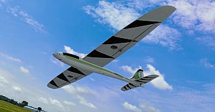 RealFlight Evolution - 2024 Year Content Pass