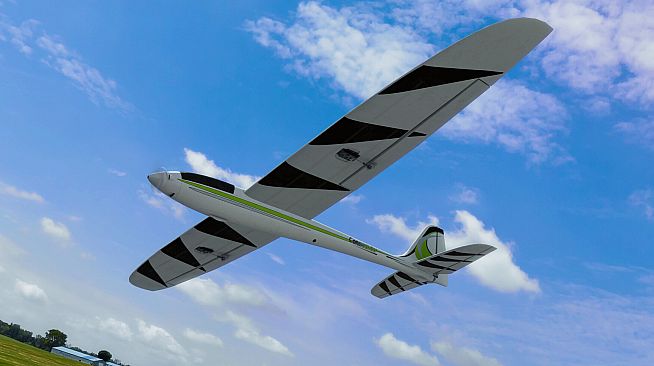 RealFlight Evolution - 2024 Year Content Pass