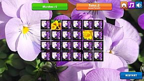 OG Memory: Spring 2K24