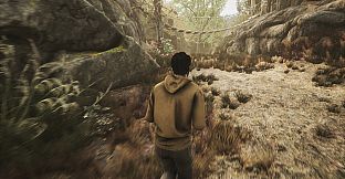 The Dead Tree of Ranchiuna