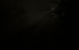 Project Horror Tales